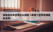 离婚后还有感情怎么挽回（离婚了还有感情能复合吗）