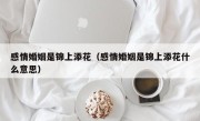 感情婚姻是锦上添花（感情婚姻是锦上添花什么意思）