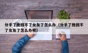 分手了挽回不了女友了怎么办（分手了挽回不了女友了怎么办呢）