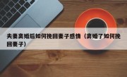 夫妻离婚后如何挽回妻子感情（离婚了如何挽回妻子）