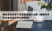 刚女朋友分手了怎么挽留是什么歌（跟刚分手的女朋友怎么开头聊天呢）