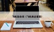 飞机告白词（飞机表达爱意）
