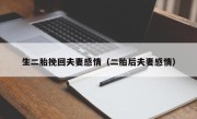 生二胎挽回夫妻感情（二胎后夫妻感情）