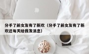 分手了前女友有了新欢（分手了前女友有了新欢还每天给我发消息）