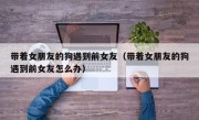 带着女朋友的狗遇到前女友（带着女朋友的狗遇到前女友怎么办）