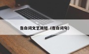 告白词文艺简短（告白词句）