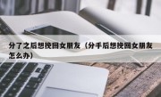 分了之后想挽回女朋友（分手后想挽回女朋友怎么办）