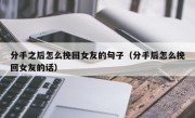 分手之后怎么挽回女友的句子（分手后怎么挽回女友的话）