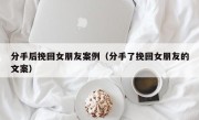 分手后挽回女朋友案例（分手了挽回女朋友的文案）