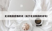 无法挽回感情的诗（关于无法挽回的诗句）