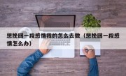 想挽回一段感情我的怎么去做（想挽回一段感情怎么办）
