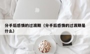 分手后感情的过渡期（分手后感情的过渡期是什么）