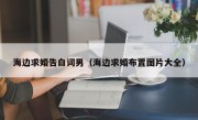 海边求婚告白词男（海边求婚布置图片大全）