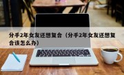 分手2年女友还想复合（分手2年女友还想复合该怎么办）