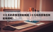 十几年的感情怎样能挽回（十几年的感情怎样能挽回呢）