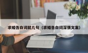 求婚告白词就几句（求婚告白词深情文案）
