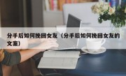 分手后如何挽回女友（分手后如何挽回女友的文案）