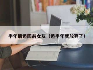 半年后追回前女友（追半年就放弃了）