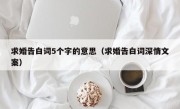 求婚告白词5个字的意思（求婚告白词深情文案）
