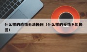 什么样的感情无法挽回（什么样的爱情不能挽回）