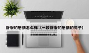 舒服的感情怎么样（一段舒服的感情的句子）