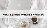 小鹿乱撞感情挽回（小鹿乱撞下一句怎么接）